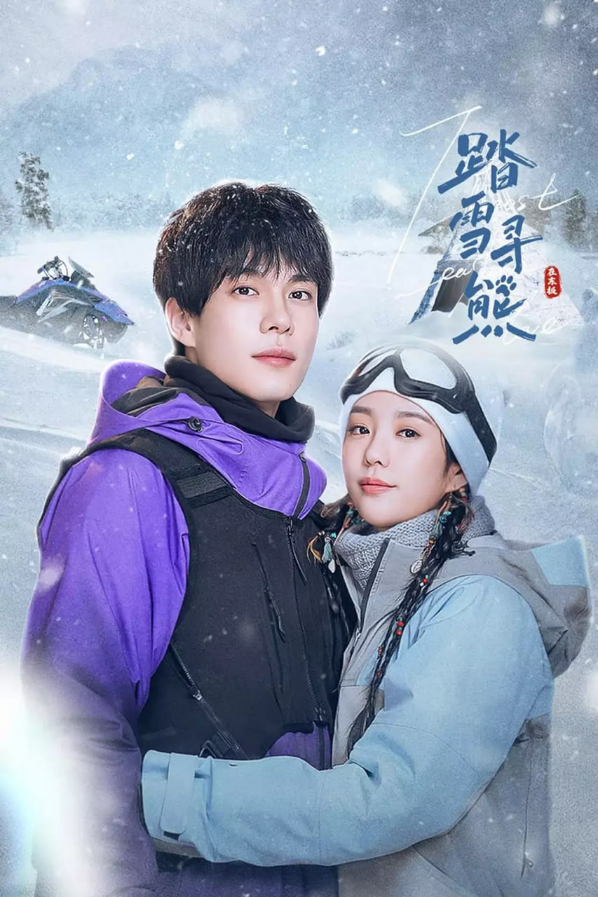 踏雪寻熊